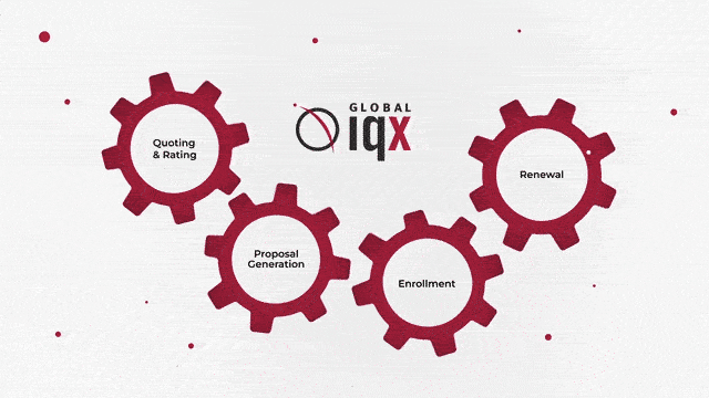 global IQX gif