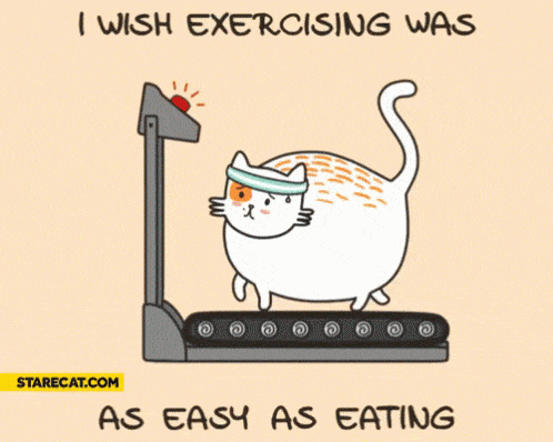 a fat cat with a head band walking on a treadmill with the text reading "I wish exercising was as easy as eating" 
