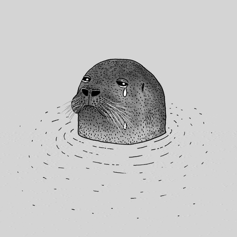 a seal sticking its head out the water and crying with tears rolling down its face